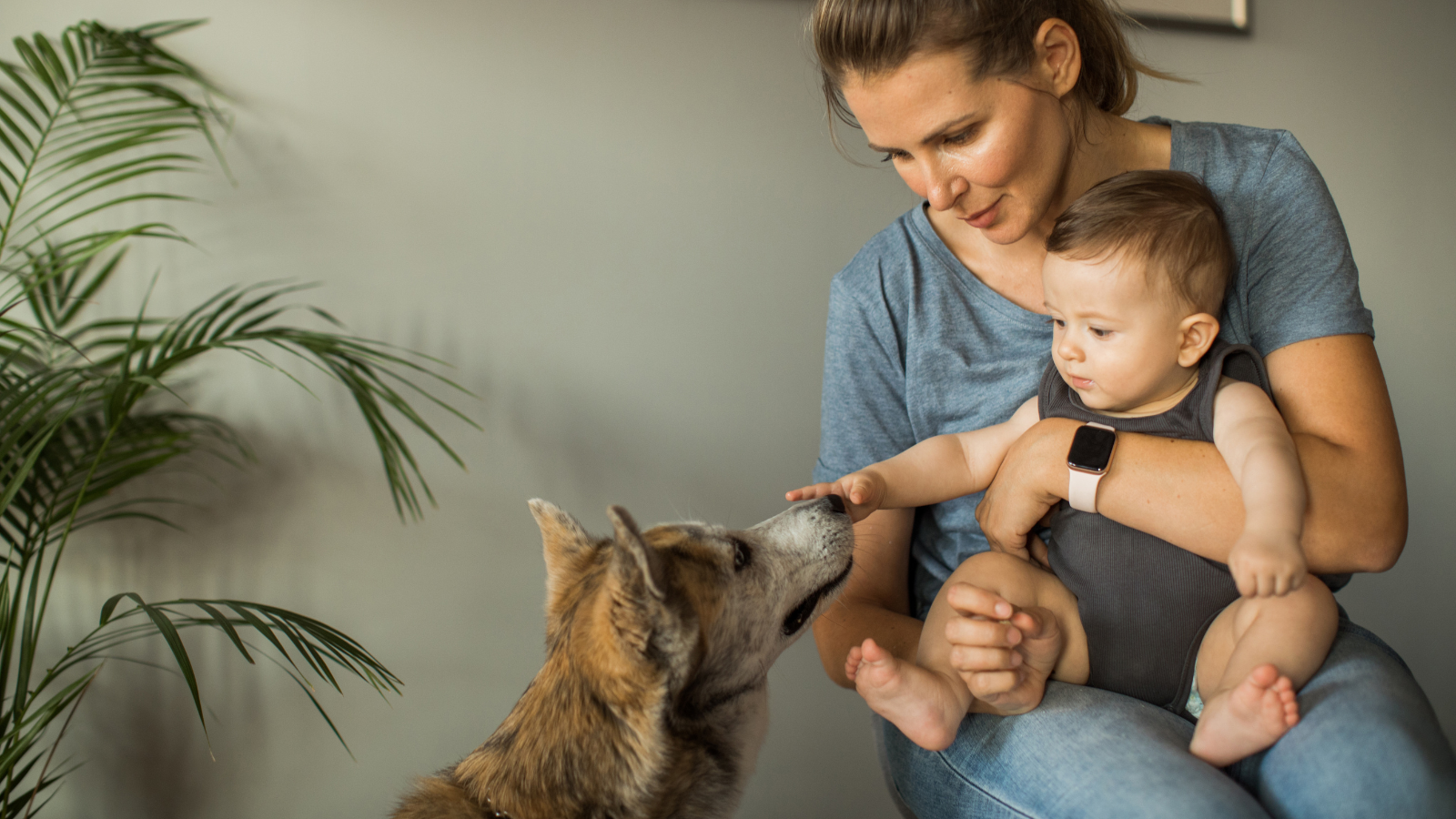 Bambino che gioca con il cane, supervisionato da un adulto