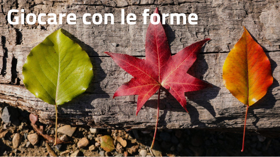 Giocare con le forme